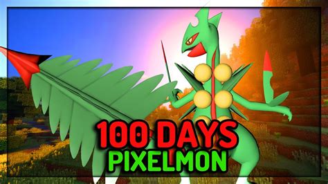 pixelmon sceptile|best evs for sceptile.